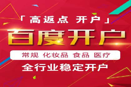 知名SEM公司案例分析：优化策略与成果