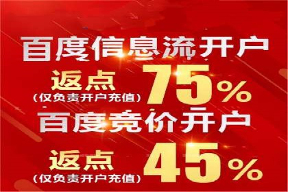 信息流竞价策略解析：成功案例分析
